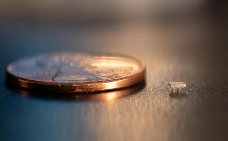 A bristle bot is dwarfed by a penny