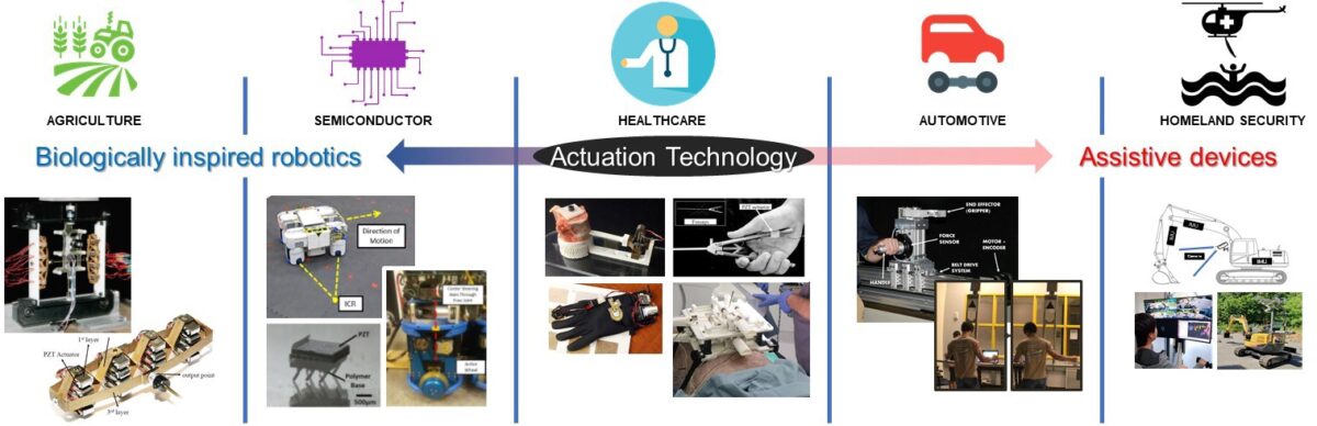 Cellular actuators inspired by biological muscles