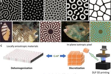 Turing pattern research