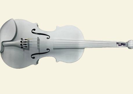 3D Printed Violin